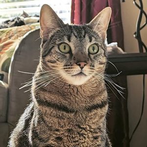 Meet your Posher, Carolyn